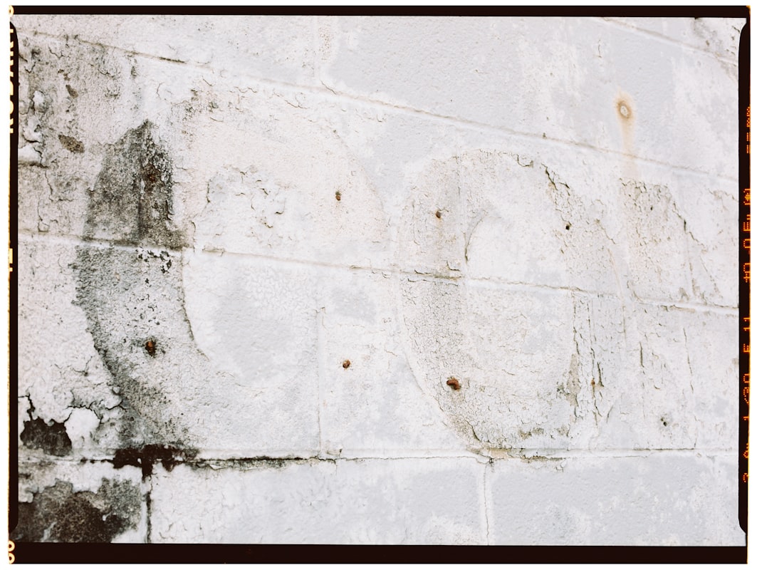 Basement Water Removal service in Gary, IN