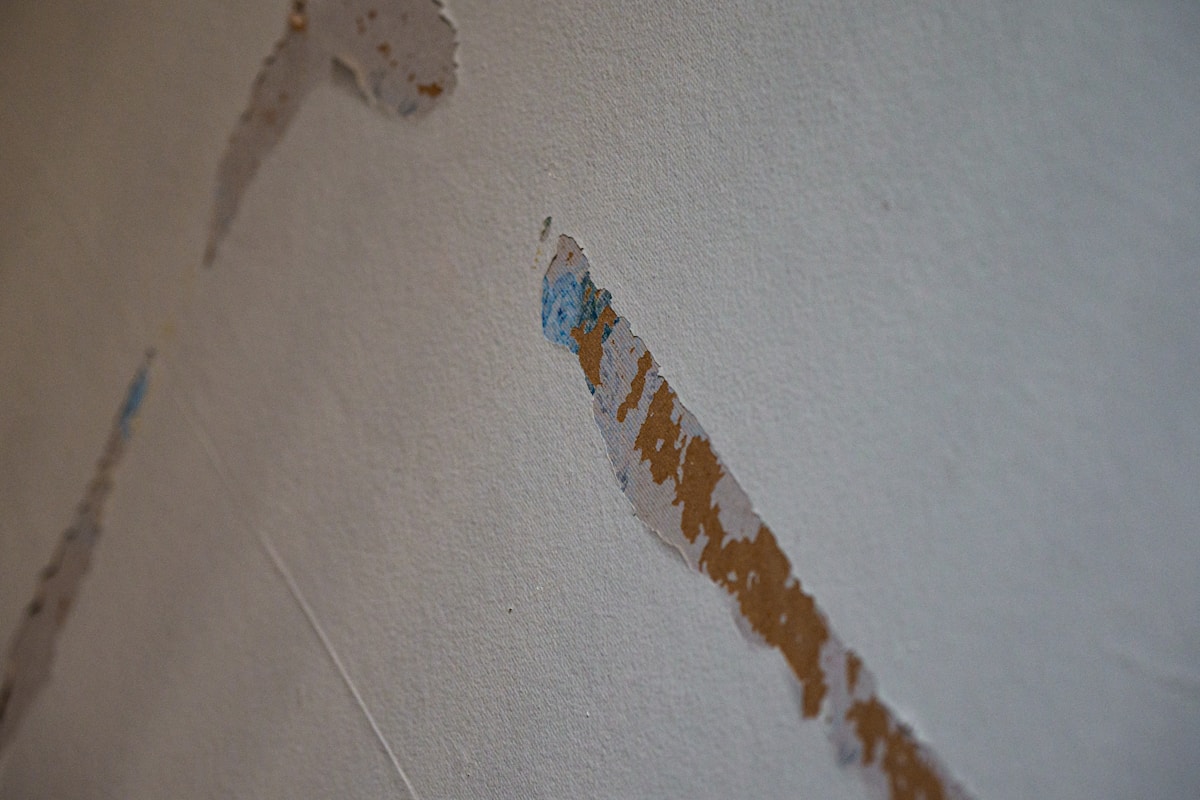 Storm Damage Repair service in Gary, IN